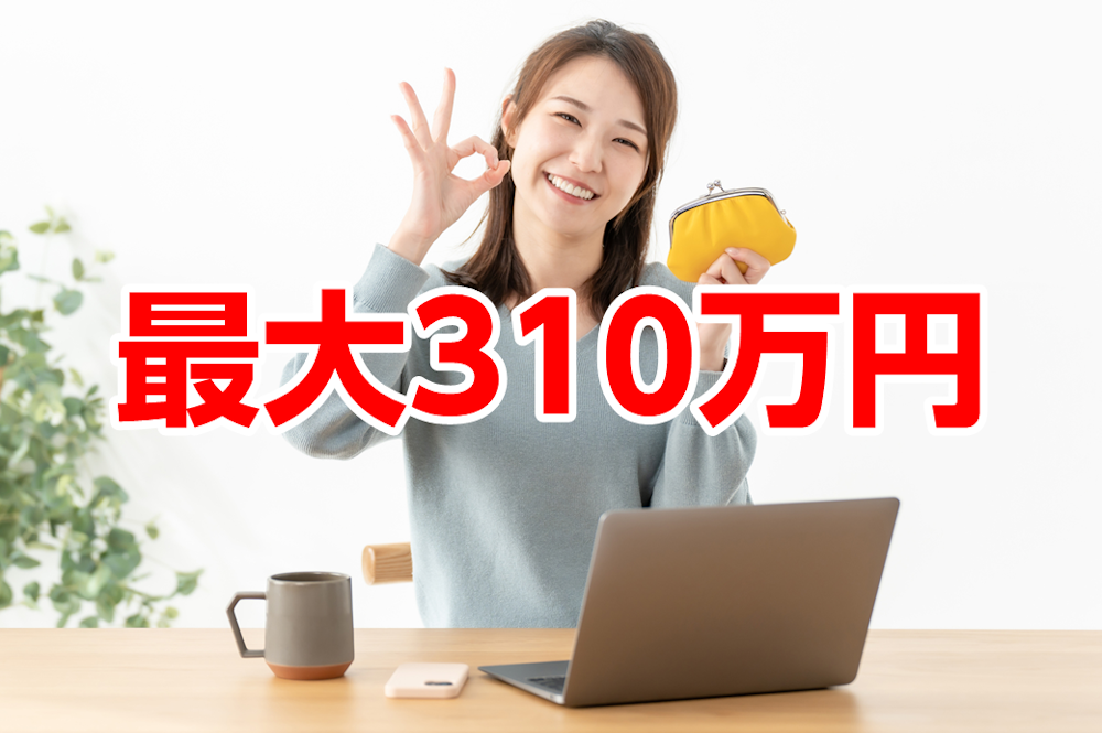 最大310万円。